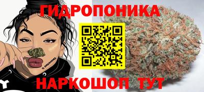 jwh Партизанск