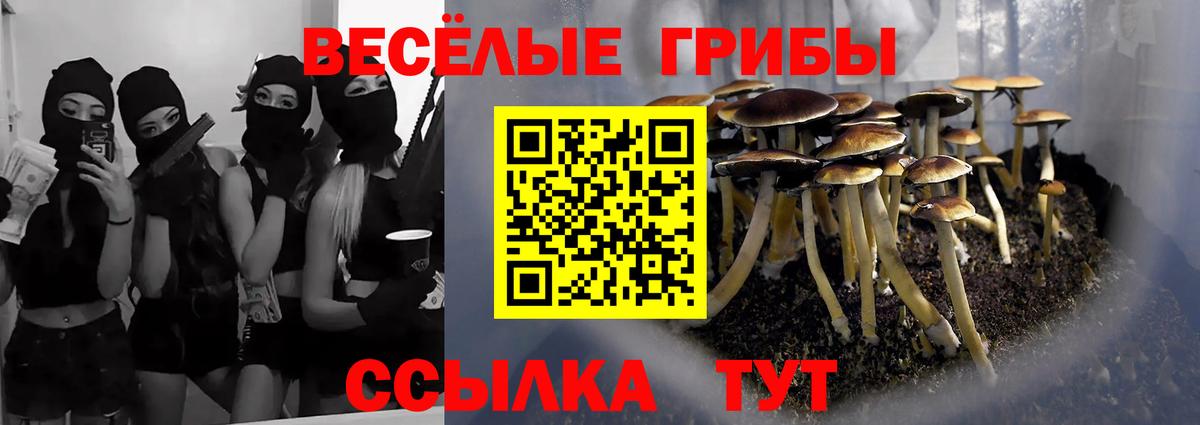 Галлюциногенные грибы Cubensis  Вход с VPN  Галлюциногенные грибы Psilocybine cubensis  Тосно 